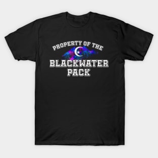 Property of Blackwater w/Mountains T-Shirt